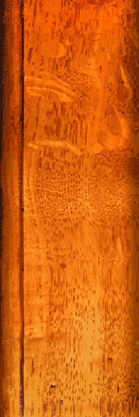 bkgr2